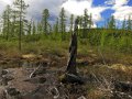 BAM Road entlang der Baikal Amur Magistrale in Sibirien