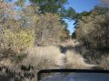 Hunters Road an der Grenze zu Zimbabwe (Botswana)