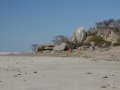 Kubu Island in den Makgadikgadi Pans (Botswana)