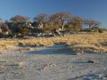 Kubu Island in den Makgadikgadi Pans (Botswana)