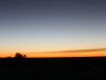 Abends auf Kubu Island in den Makgadikgadi Pans (Botswana)