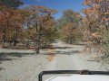 Offroad in Botswana