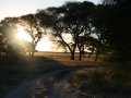 Central Kalahari Game Reserve