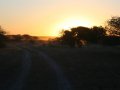 Central Kalahari Game Reserve