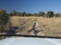 Offroad im Okavango Delta