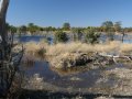 Okavango Delta in Botswana