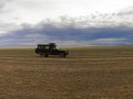 mongolische Steppe