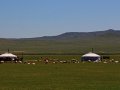 mongolische Jurten