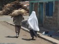 Osterschaf in Gondar (Äthiopien)