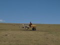 Wassertransport mit Esel in Äthiopien
