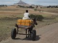 Wassertransport mit Esel in Äthiopien