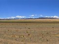 Landschaft in der Gobi