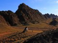 Camping in der Gobi