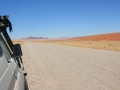 Guanaco in Namibia