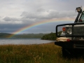 Guanaco mit Regenbogen