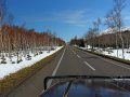 Strasse im Shiretoko Nationalpark (Japan)