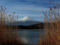 Mount Fuji