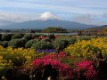 Mount Fuji