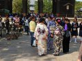 Hirsche und Touristen in Nara