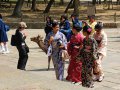 Hirsche und Touristen in Nara