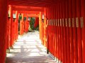 1000 Torii am Fushimi Inari-Taisha Schrein