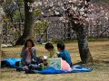 Picknick im Burggarten von Himeji