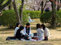 Picknick im Burggarten von Himeji