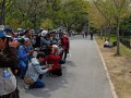 hübsche Japanerin im Osaka Burggarten