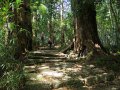 Aufstieg zum Kumano Nachi-Taisha Schrein