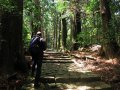 Aufstieg zum Kumano Nachi-Taisha Schrein