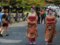 japanische Touristen als Maiko verkleidet in Nara