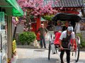 Rikshawala in Nara