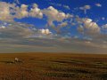 Steppe in Kasachstan