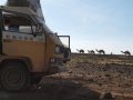 VW T3 Bus abschleppen