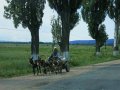 Eselkarren in Kirgistan