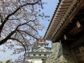 Karatsu Castle (Japan)