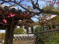 Koyozen-Ji Tempel in Dazaifu (Japan)