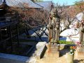 Koyozen-Ji Tempel in Dazaifu (Japan)