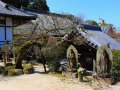 Koyozen-Ji Tempel in Dazaifu (Japan)