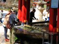 Tenman-gu Temple bei Dazaifu (Japan)