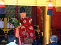 Tenman-gu Temple bei Dazaifu (Japan)