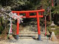 Torii in Dazaifu (Japan)