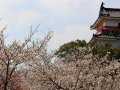 Karatsu Castle (Japan)