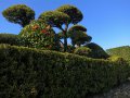 Samurai Garten in Chiran (Japan)