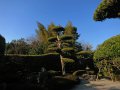 Samurai Garten in Chiran (Japan)