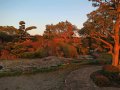 Garten in Chiran (Japan)
