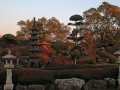 Garten in Chiran (Japan)