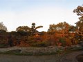 Garten in Chiran (Japan)