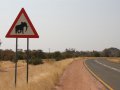 Schild Vorsicht Elefanten