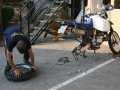 Chameleon Backpackers in Windhoek